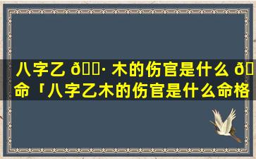 八字乙 🕷 木的伤官是什么 🐞 命「八字乙木的伤官是什么命格」